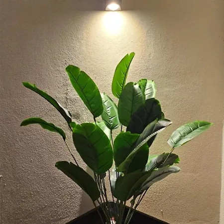 公寓 Sea Breeze Penthouse And Terrace Qawra *